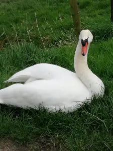 Pat 05 Zit er een mooi te wezen